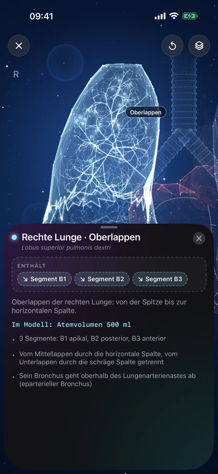 Erkunde deine Lunge in 3D