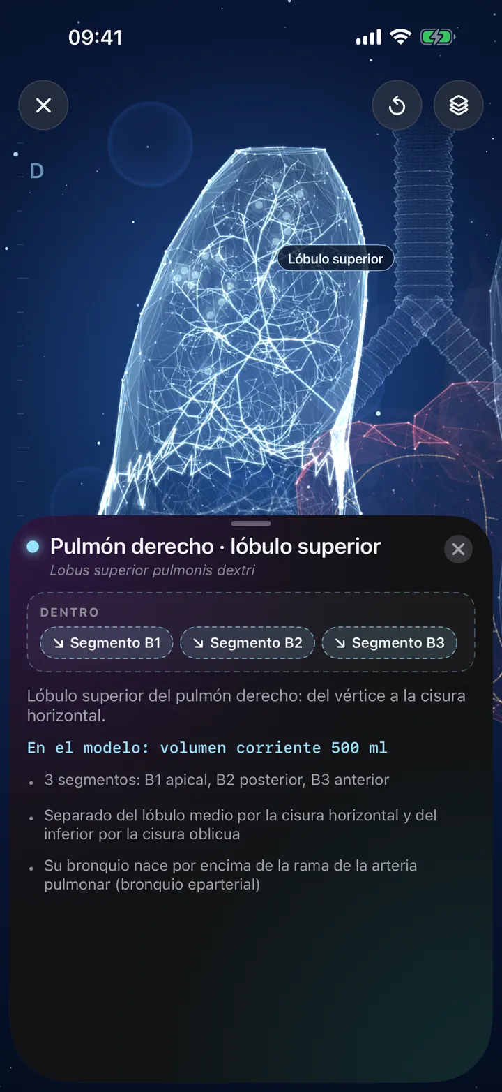 Explora tus pulmones en 3D