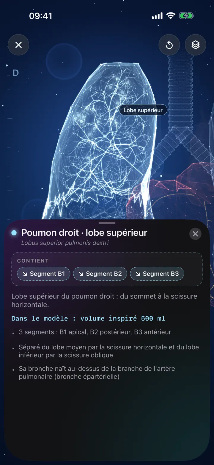 Explorez vos poumons en 3D
