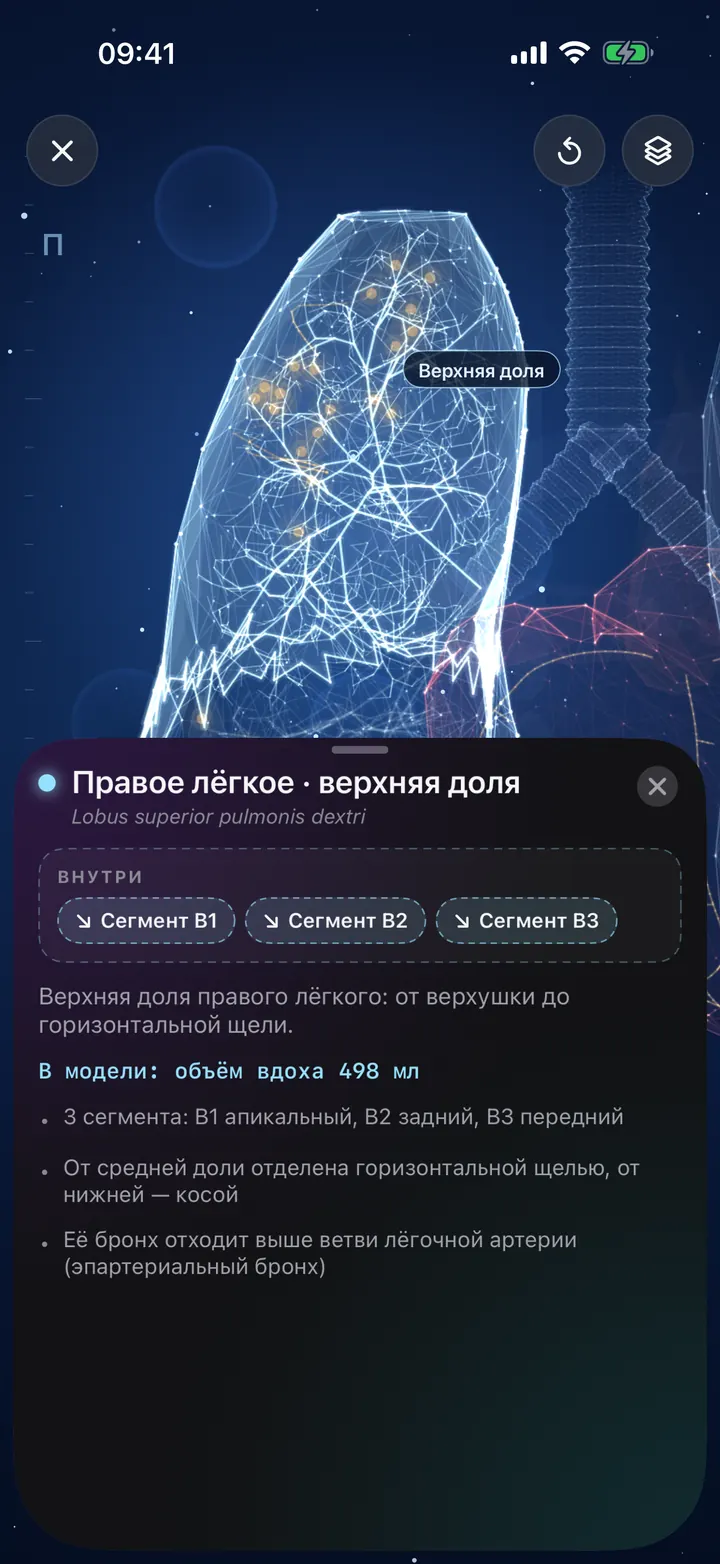Исследуйте лёгкие в 3D